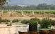 Margan Restaurant - thumb 11