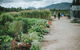 Margan Restaurant - thumb 6