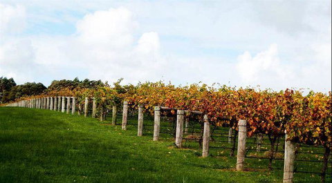 Arimia Restaurant And Winery - Book Restaurant 10