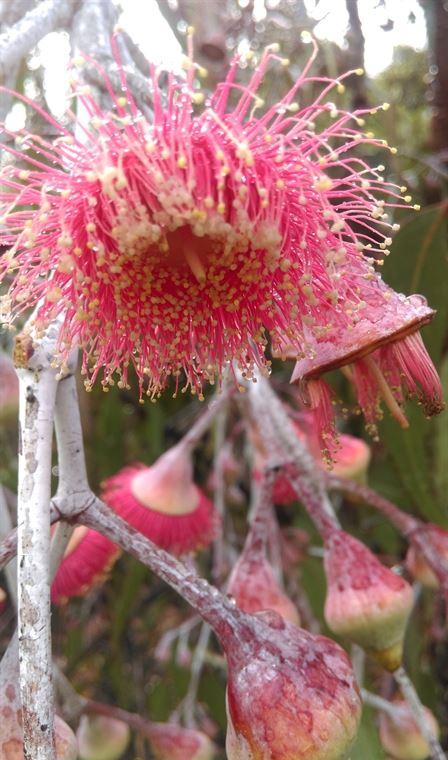 Arimia Restaurant And Winery - Book Restaurant 20