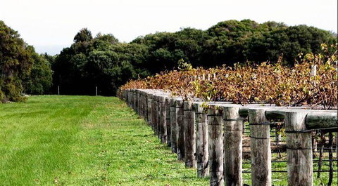 Arimia Restaurant And Winery - Book Restaurant 5