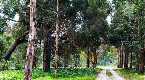 Arimia Restaurant And Winery - Book Restaurant 7