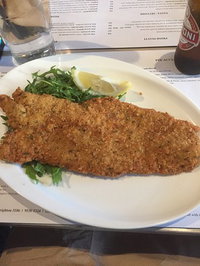 Cucina  Co