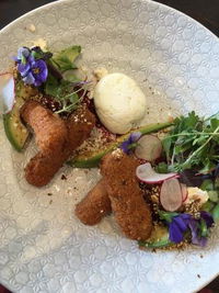 Round Bird Can't Fly