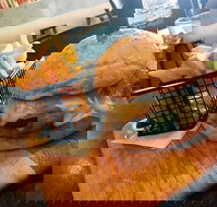 Degani - Book Restaurant