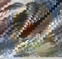 Kebab Oasis - Book Restaurant