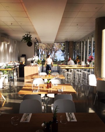 Monkey Business - Book Restaurant 0