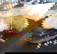 Gisborne Bakery  Cafe - Book Restaurant