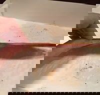 Burnsie's Pizza - Book Restaurant