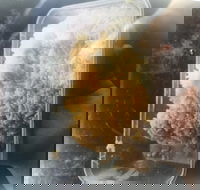 Noodle Dynasty - Book Restaurant