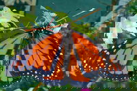 Harcourt Takeaway and Harcourt Book Restaurant Book Restaurant