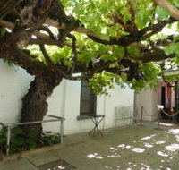 The Vine - Book Restaurant