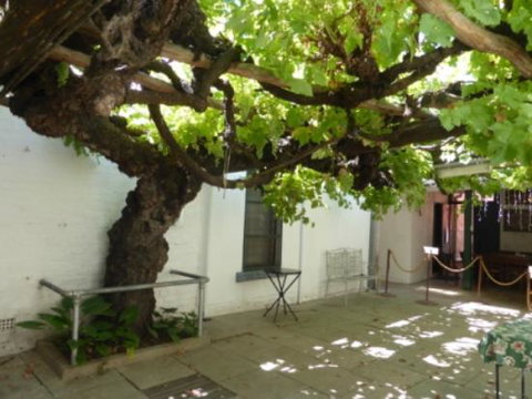 The Vine - Book Restaurant 0