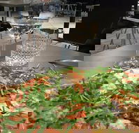 May's Pizzeria - Book Restaurant