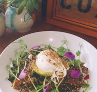 The Shak Organic Cafe  Wine Bar - Book Restaurant