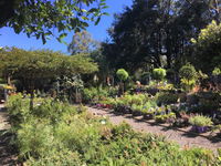 Yatte Yattah Takeaway and Yatte Yattah Book Restaurant Book Restaurant