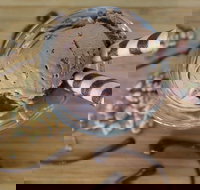 PN's Daily Scoop - Book Restaurant