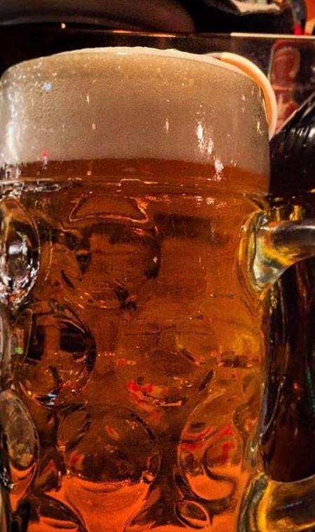 Bierkeller - Book Restaurant 4