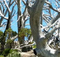 Alpine Eyre - Book Restaurant