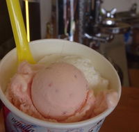 Bermagui Gelati Clinic - Book Restaurant