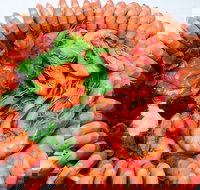 Evans Head Fishermens Co-Op - Book Restaurant