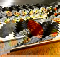 Freewave Sushi  Burgers - Book Restaurant