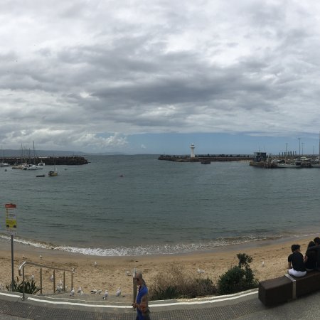 Levendi - Book Restaurant 0