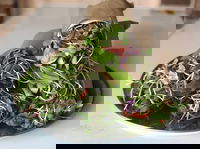 Santos Organics Mullumbimby