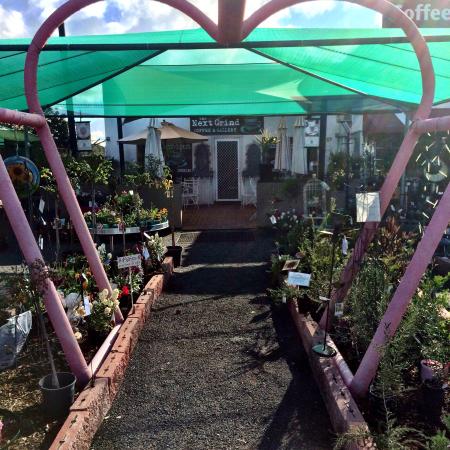 Biddon NSW Book Restaurant