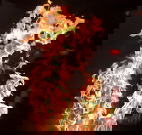 Shin Sen Teppanyaki Restaurant - Book Restaurant