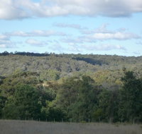 U Saucey Thing - Book Restaurant