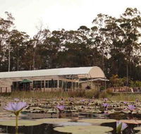 Abundance Cafe and Garden Centre - Book Restaurant