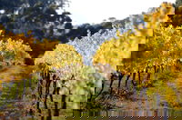 Alvie Takeaway and Alvie Book Restaurant Book Restaurant