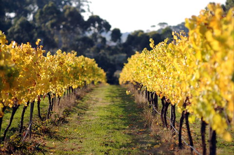 Prickly Moses Brewery - Book Restaurant 0