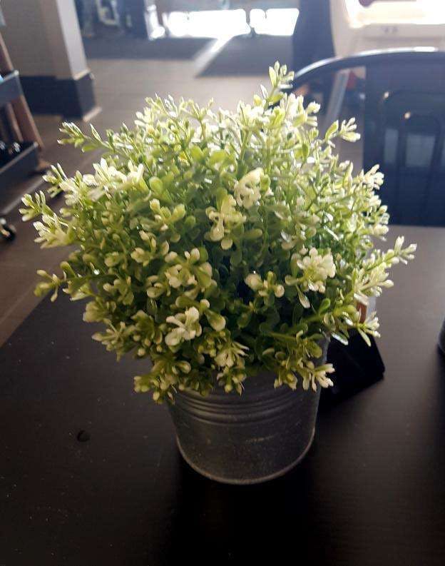 Mount Nasura WA Book Restaurant