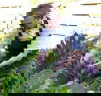 Chiswick Restaurant Woollahra - Book Restaurant