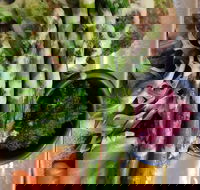 D For Dumplings - Book Restaurant