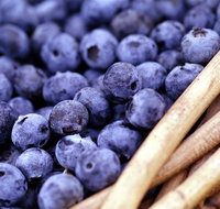 Drum Drum Blueberry Farm - Book Restaurant