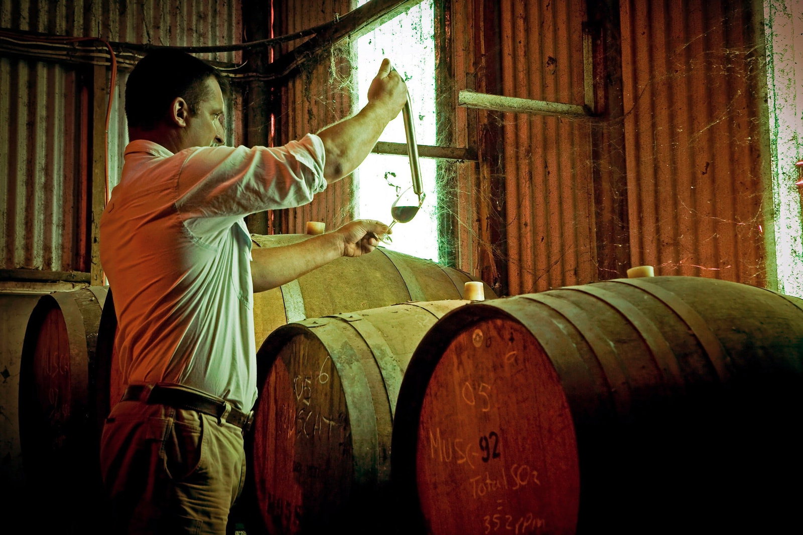 Monichino Wines Katunga