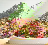 Sublime Cafe - Book Restaurant