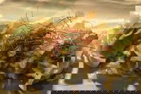 Tarana Indian Restaurant