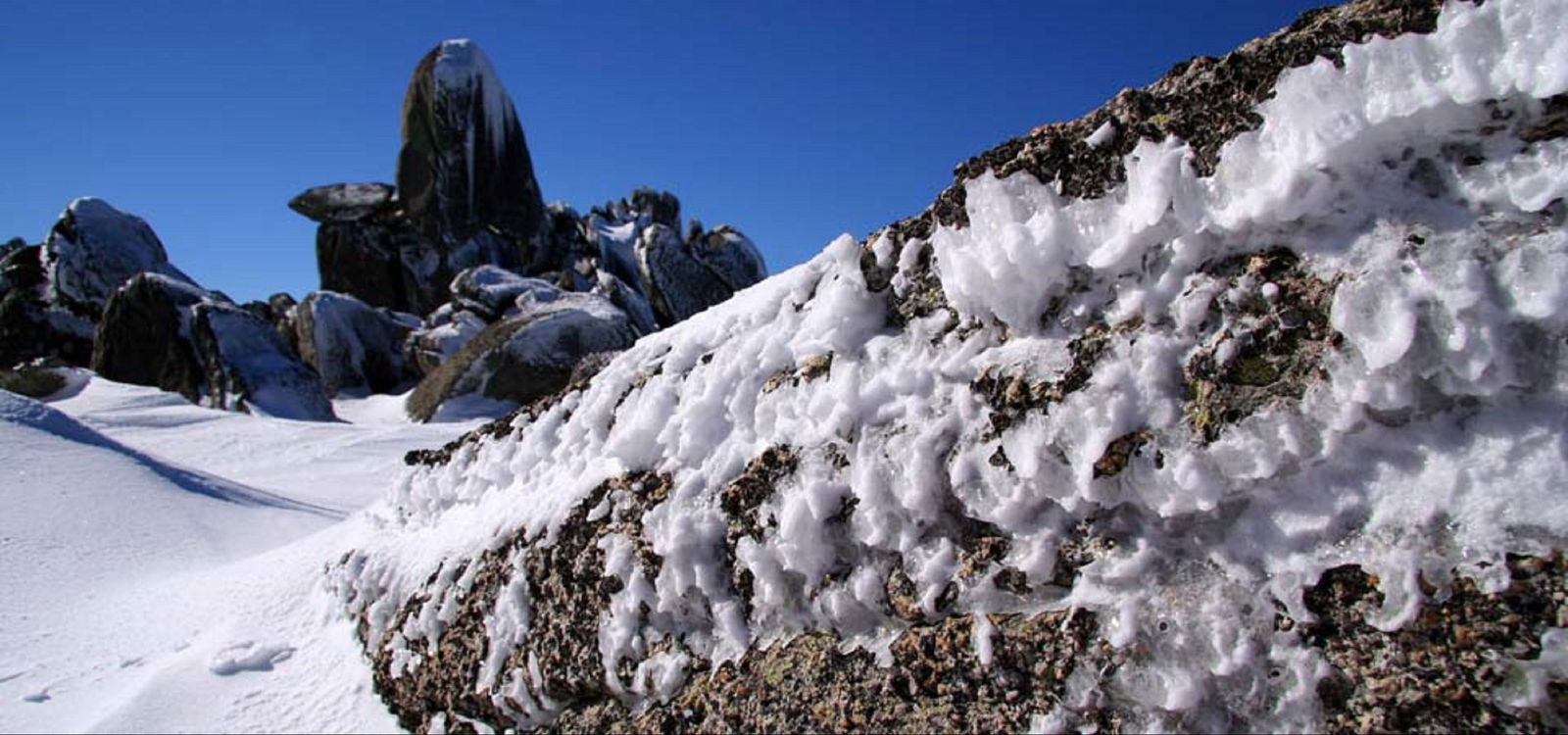 Pilot Wilderness NSW Book Restaurant