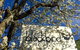 Blackbird Cafe - thumb 2