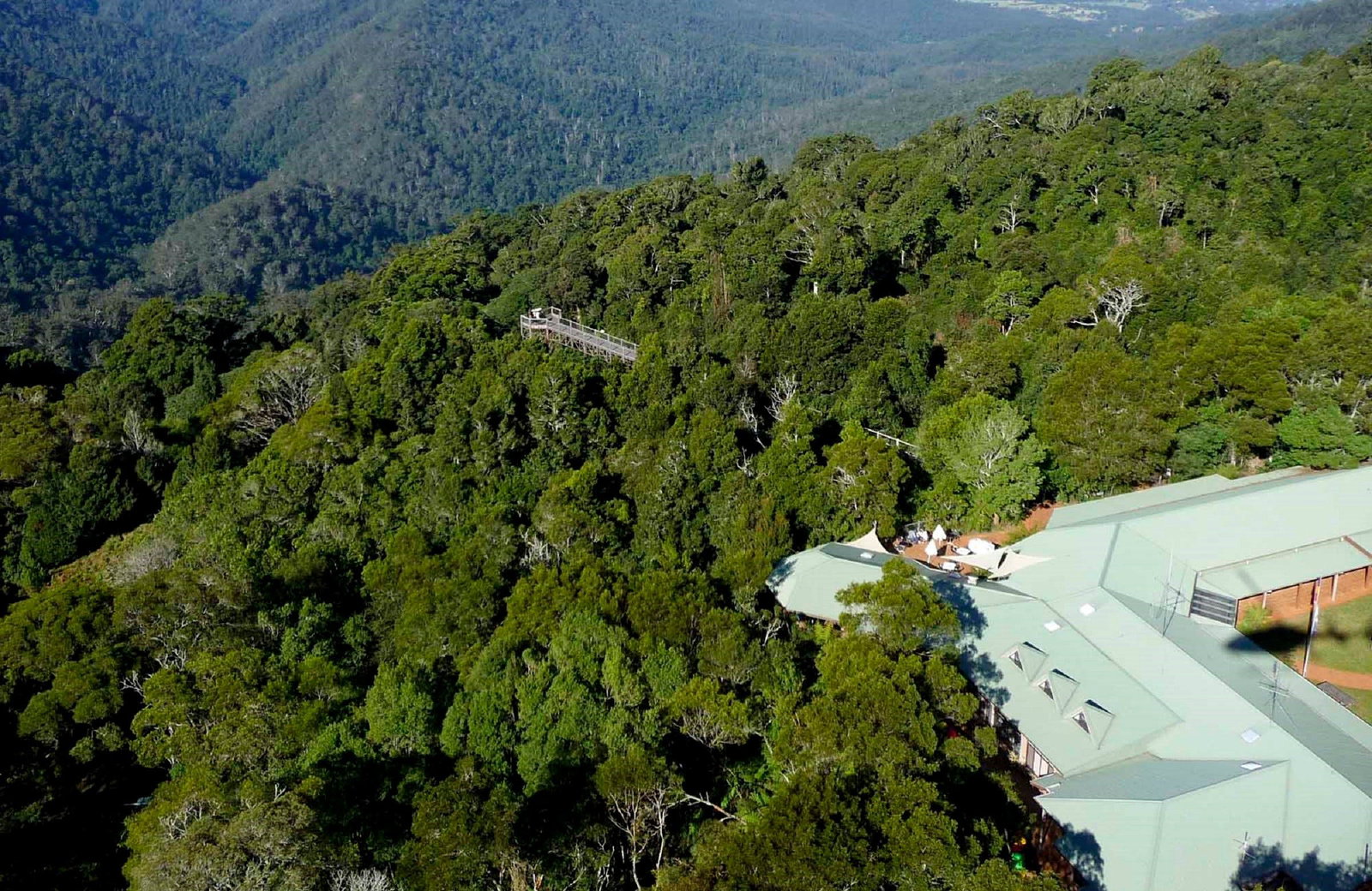 Dorrigo Mountain NSW Book Restaurant