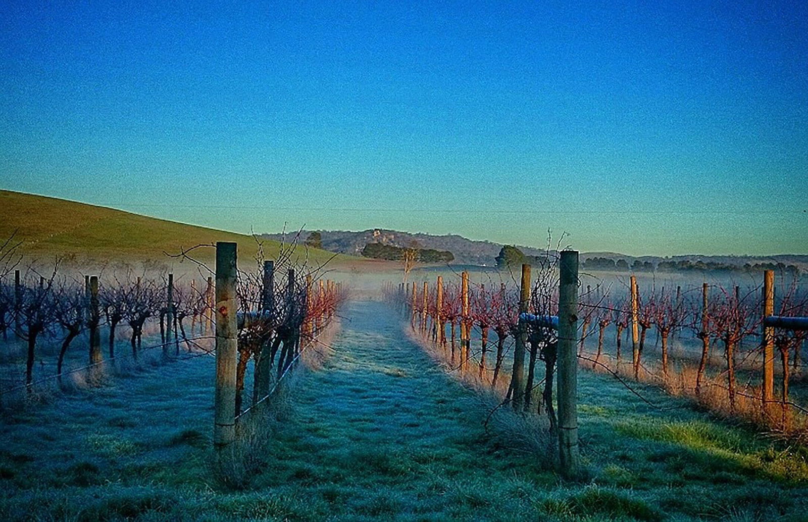 Rocklyn VIC Book Restaurant