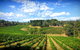 Kellybrook Winery And Kelly Brothers Cider - thumb 0