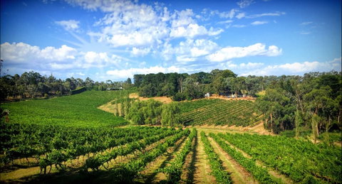 Kellybrook Winery And Kelly Brothers Cider - Book Restaurant 0