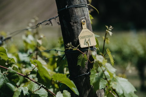 Kellybrook Winery And Kelly Brothers Cider - Book Restaurant 2