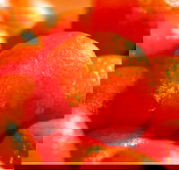 Punjab Indian Sweets and Restaurant - Mount Druitt - Book Restaurant