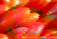 Punjab Indian Sweets and Restaurant - Mount Druitt